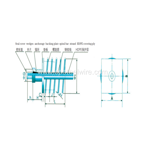 YMU"TYPE ANCHORAGE FOR UNBONDED STRAND WIRES